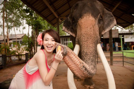 생각보다 많은 여자들이 좋아하는 동물 | 인스티즈