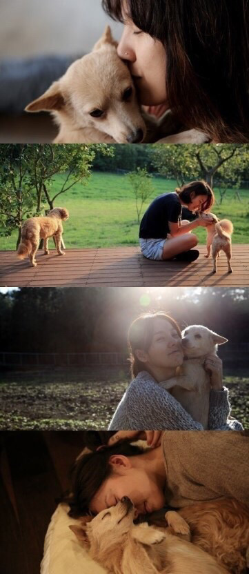 연예인들의 반려동물 | 인스티즈