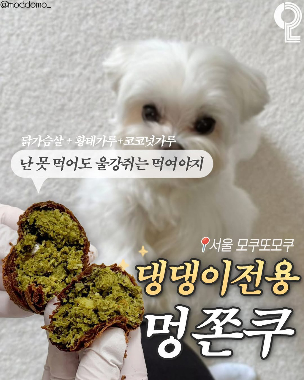 업글 되고 있는 두쫀쿠 | 인스티즈