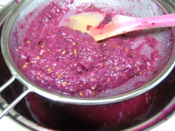 물 없이 설탕 없이 집에서 직접 만든 달콤한 100％ 포도쥬스 | 인스티즈