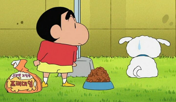 살찐 흰둥이의 다이어트 | 인스티즈