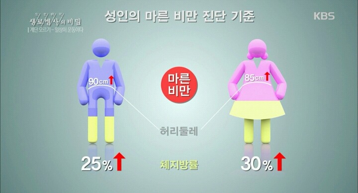 20대 여성의 건강이 위험하다-마른비만.jpg | 인스티즈