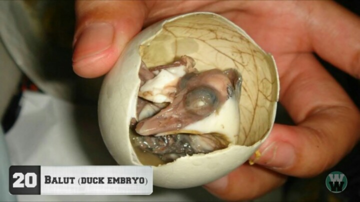 약혐)세계에서 가장 역겨운 음식 TOP 20.jpg | 인스티즈