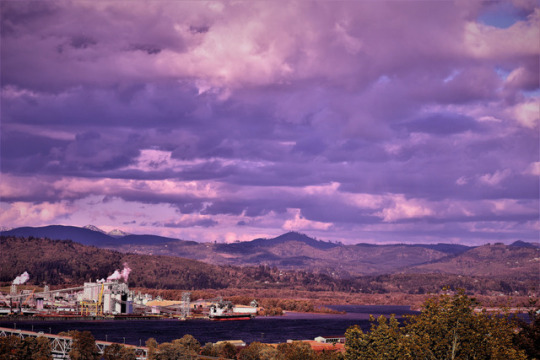  당신은 주인공이다 | 인스티즈