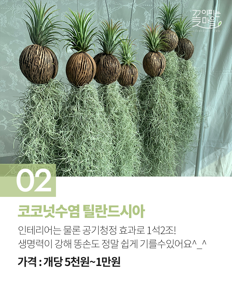 3만원으로 내방 꾸미는 법 best8 | 인스티즈