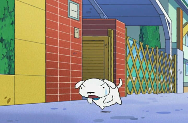 살찐 흰둥이의 다이어트 | 인스티즈