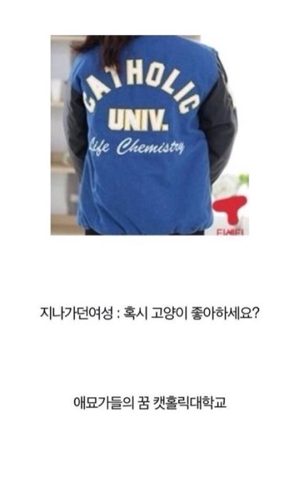 각대학교별 과잠 | 인스티즈