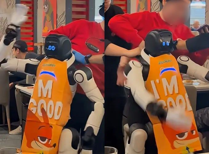 식당 로봇, 춤추다 식탁 내리치며 폭주…직원들 허둥지둥[영상] gif | 인스티즈