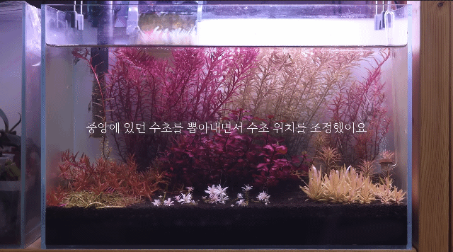 시간 + 돈 + 미감 + 부지런함을 요구하는 취미 | 인스티즈