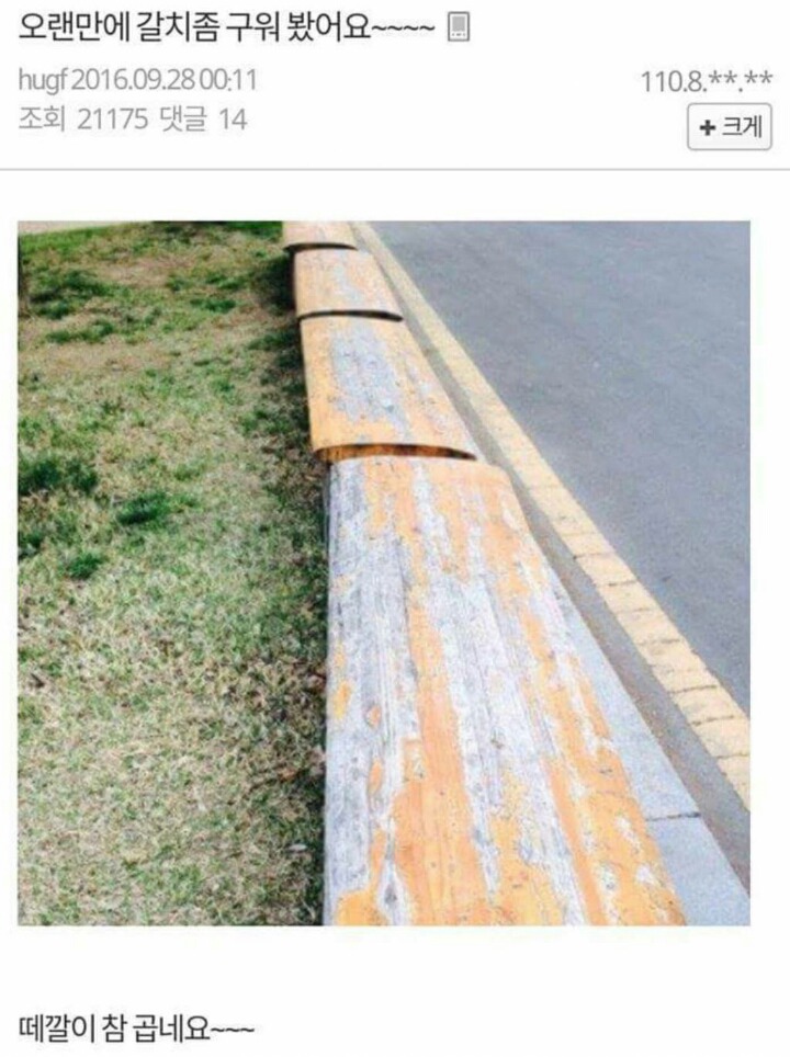 허언증 갤러리 레전드.jpg | 인스티즈