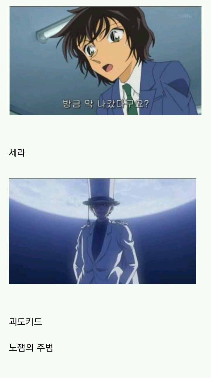 명탐정코난 깊게파는 사람들이 싫어하는 캐릭터.jpg | 인스티즈