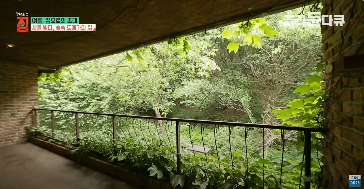 땅 1,500평 사서 혼자 집 짓고 살던 35살 여자, 20년 뒤 근황 | 인스티즈