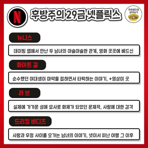 넷플릭스 29금 모음집 | 인스티즈