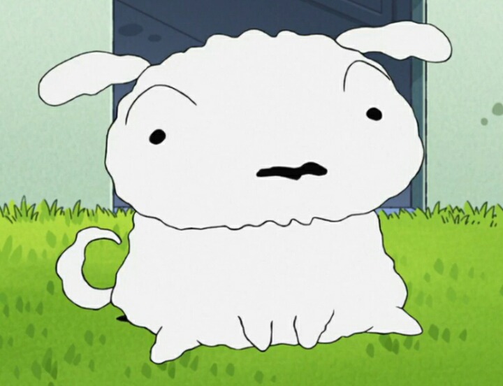 살찐 흰둥이의 다이어트 | 인스티즈