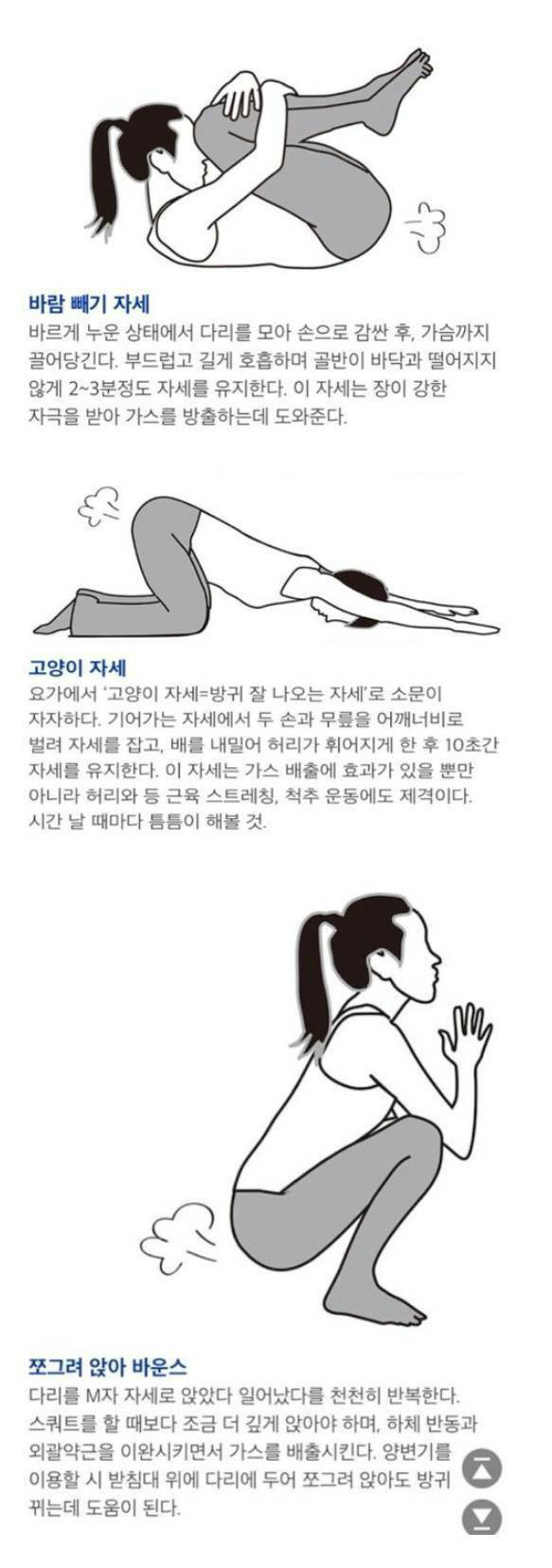 방귀가 잘 나오는 자세 | 인스티즈