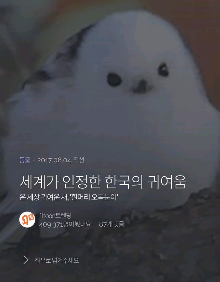 세계가 인정한 한국의 귀여움 | 인스티즈