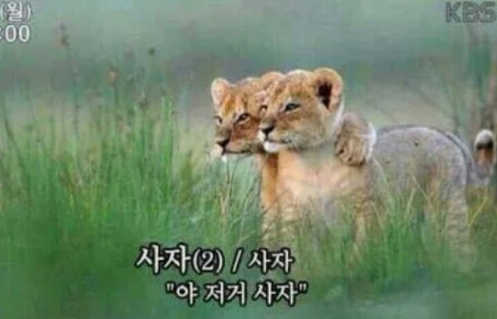테일러 스위프트의 시그니처 립색깔 red lip | 인스티즈
