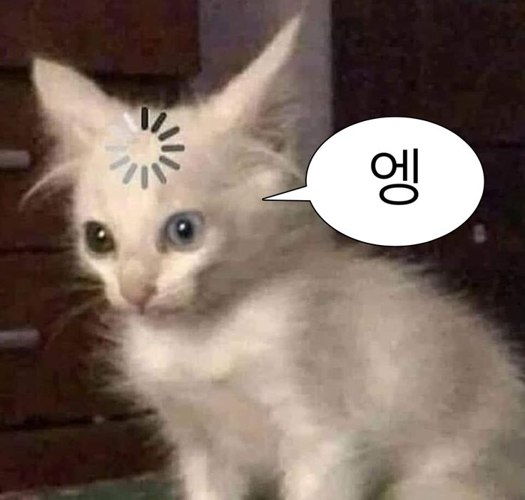 현재 난리난 쿠키런킹덤 유저들이 트럭시위 하는 이유 | 인스티즈