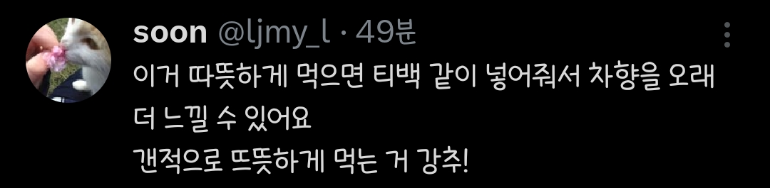 홍콩에서 먹은 밀크티 맛 난다는 어느 스벅 레시피.twt | 인스티즈