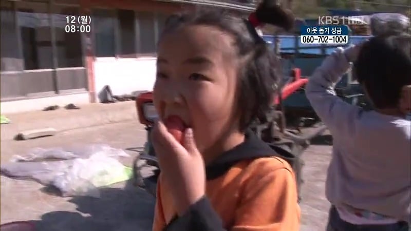 [인간극장] 우리 엄마는 할머니 1부 (감자 주의보 발령!!!) | 인스티즈