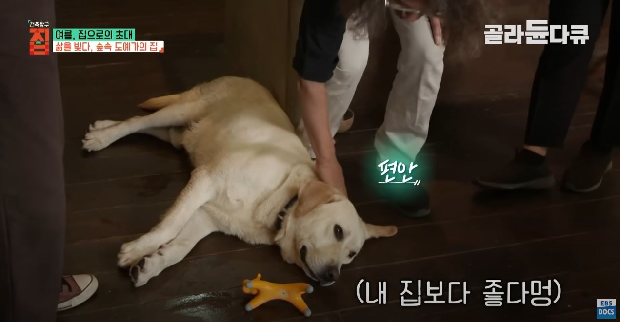땅 1,500평 사서 혼자 집 짓고 살던 35살 여자, 20년 뒤 근황 | 인스티즈