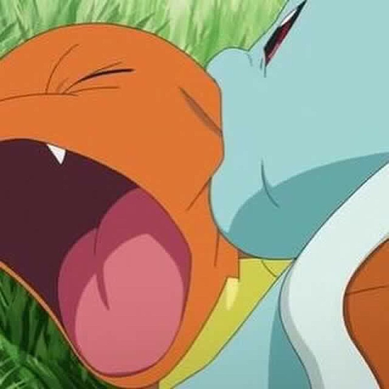 겉모습만 보고 판단하면 안되는 상어들 | 인스티즈