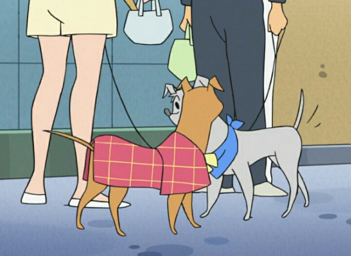 살찐 흰둥이의 다이어트 | 인스티즈