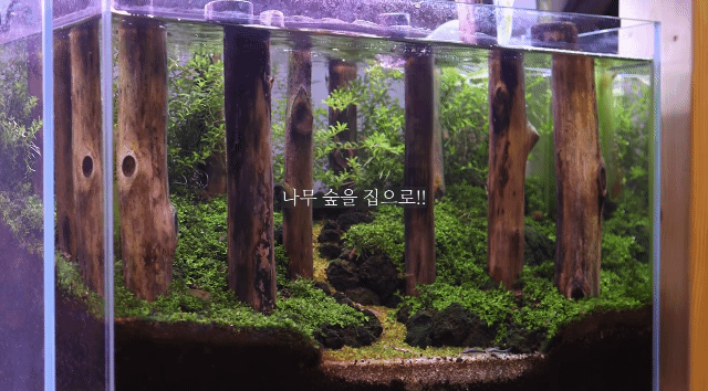 시간 + 돈 + 미감 + 부지런함을 요구하는 취미 | 인스티즈
