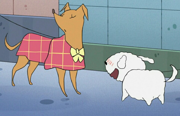 살찐 흰둥이의 다이어트 | 인스티즈