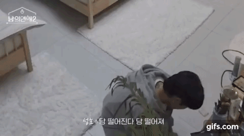 역대급으로 직진 중이라는 게이 연프.... gif | 인스티즈