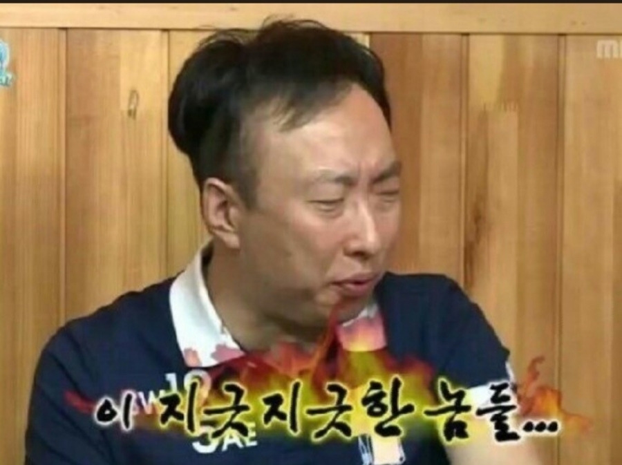 겉모습만 보고 판단하면 안되는 상어들 | 인스티즈