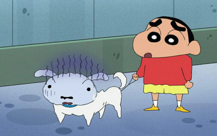 살찐 흰둥이의 다이어트 | 인스티즈