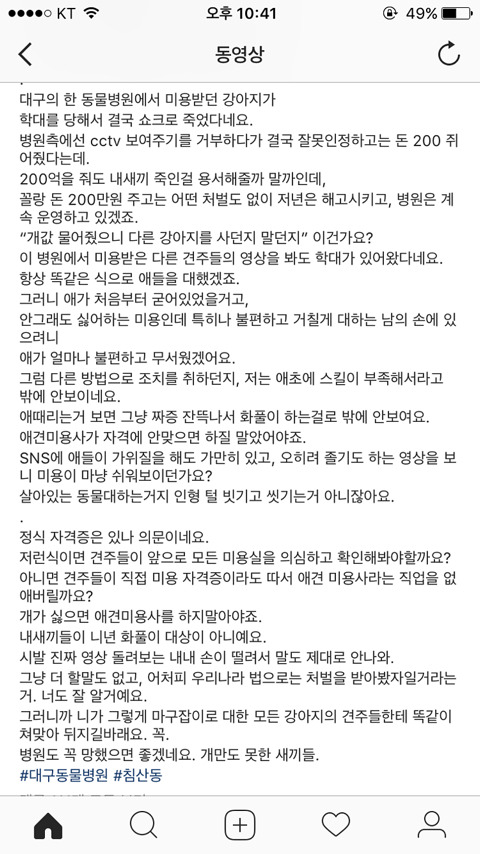  대구 한 동물병원에서 미용사의 학대로 강아지가 사망.... | 인스티즈