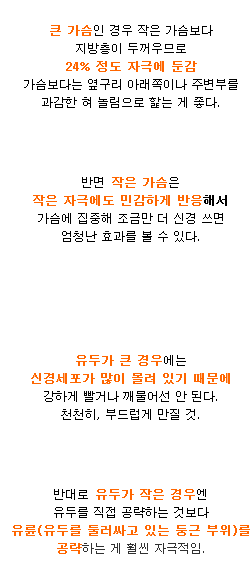 성관계시 가슴 애무 꿀팁 | 인스티즈