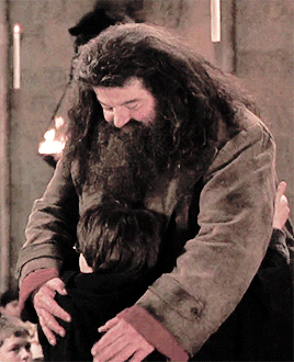 해리포터 교수님들 거의 다 돌아가신 거 기분 이상하다.. | 인스티즈