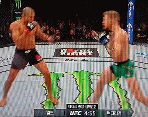 뱀 vs 고양이 | 인스티즈