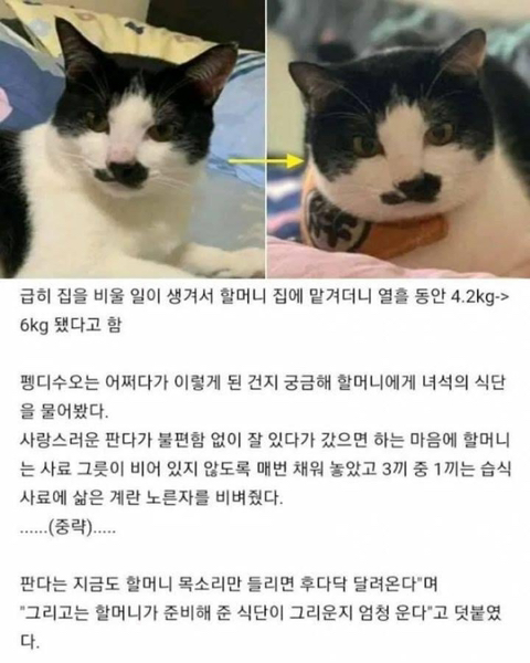 할머니에게 고영희씨를 10일 맡겼는데 | 인스티즈
