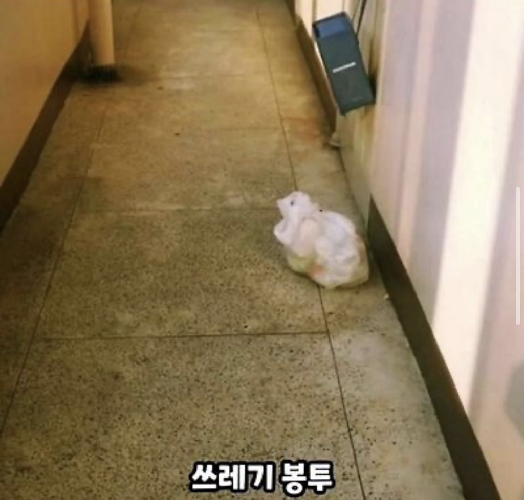 버려진 줄 모르고 하염없이 기다리는...🥺 | 인스티즈