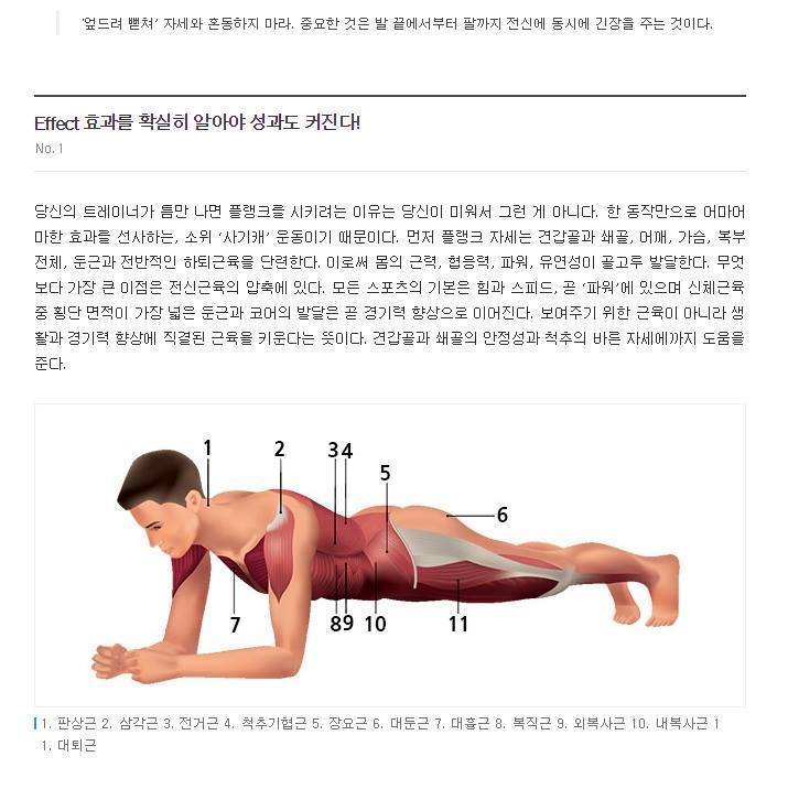 집에서 몸짱될 수 있는 운동 3대천왕 총정리.jpg | 인스티즈