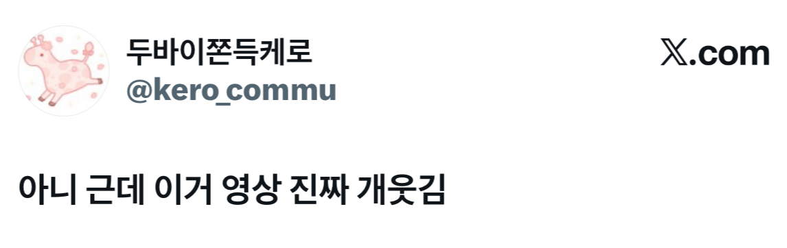두쫀쿠 사망선고 밈 야무지게 주워먹은 현대홈쇼핑 | 인스티즈