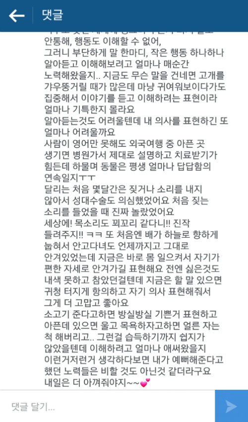 유기견에서 스타강아지가 되기까지 달리의 변화모습 | 인스티즈