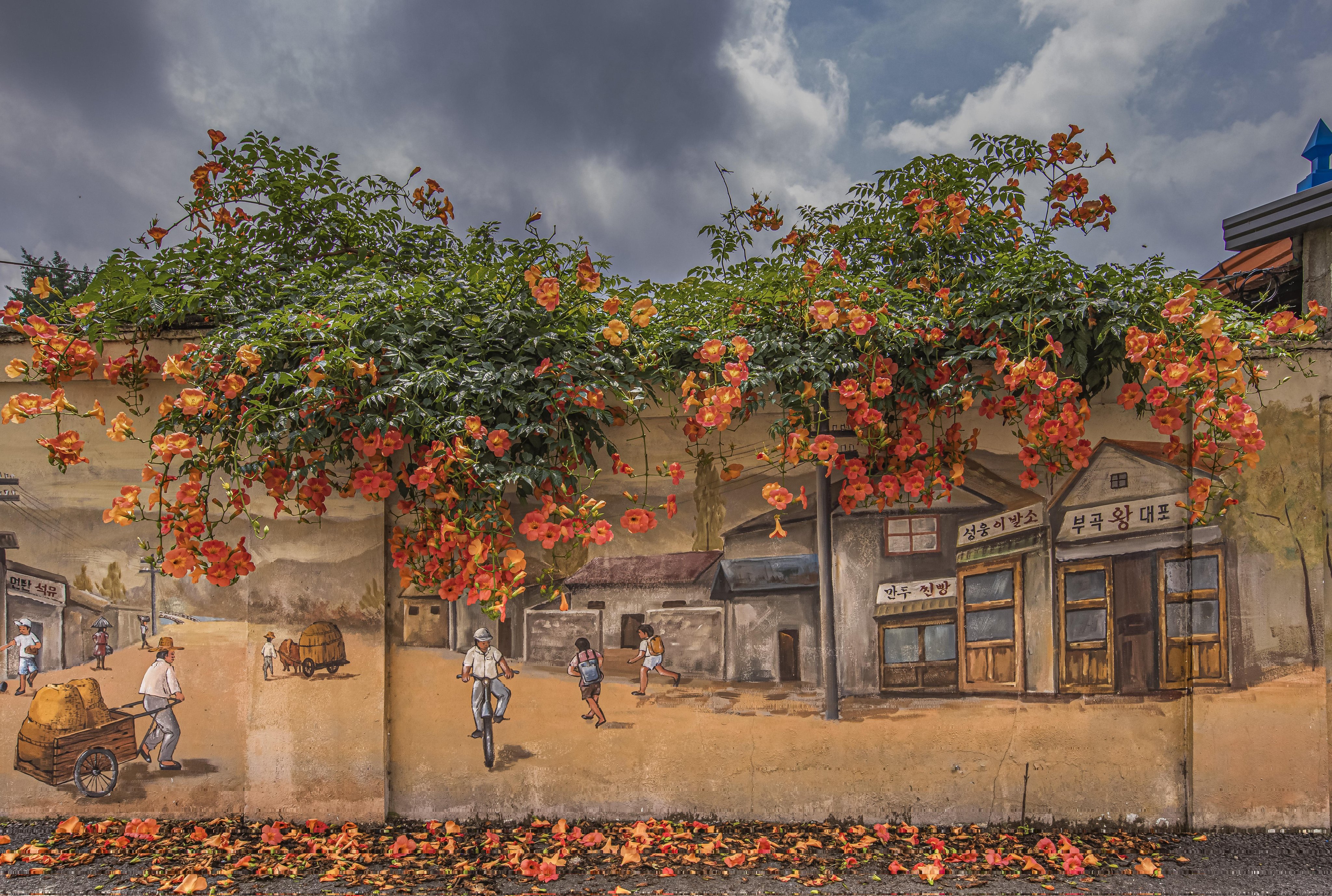 최근 몇 년 사이 인기가 많아진 거 같은 꽃 | 인스티즈