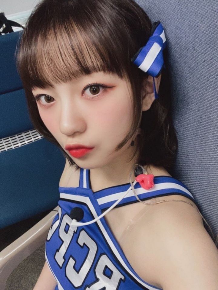 다양한 동물상 여자아이돌들! | 인스티즈