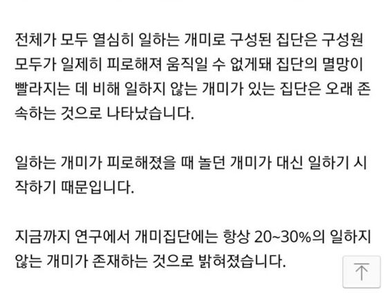 근데 사람들 앵간하면 실물이 더 이쁨 | 인스티즈