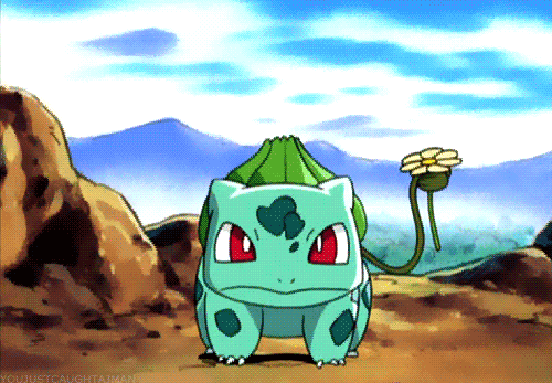 포켓몬스터 인기 4대장 | 인스티즈