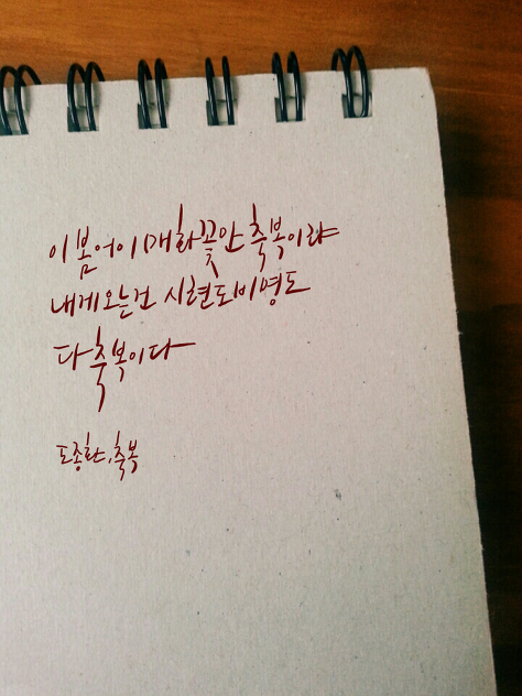 짝사랑하거나 이별하거나 인간관계로 힘들어하거나 조언이 필요한 여시들에게 | 인스티즈