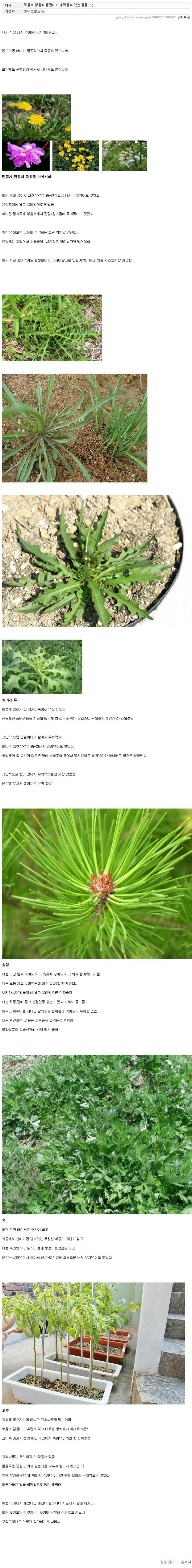 흙수저 갤러리 레전드 '가난그릴스' | 인스티즈