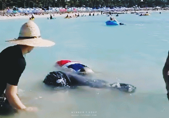 막내 재롱에 대한 그룹별 반응 | 인스티즈