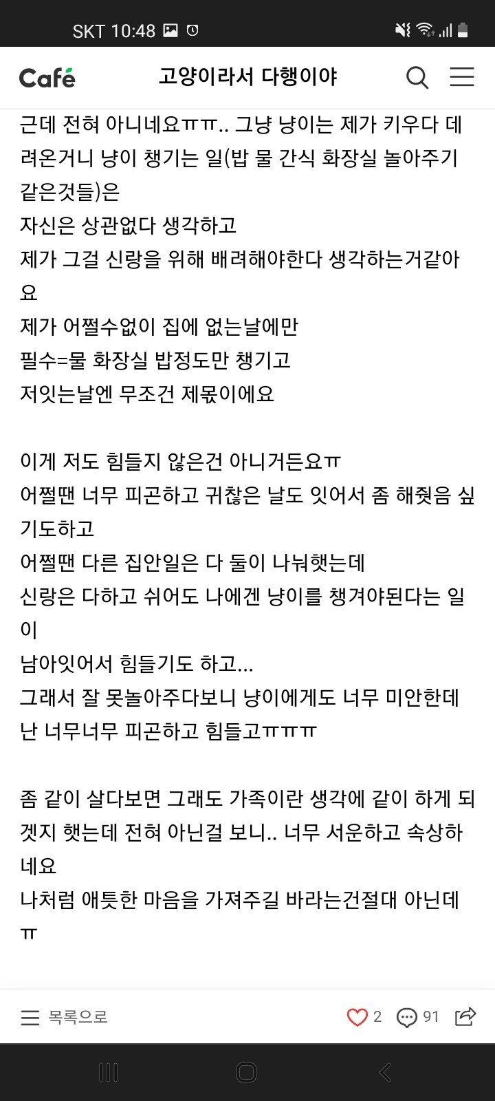 남편이 안도와줘서 "독박육묘" 하고 있어요 | 인스티즈