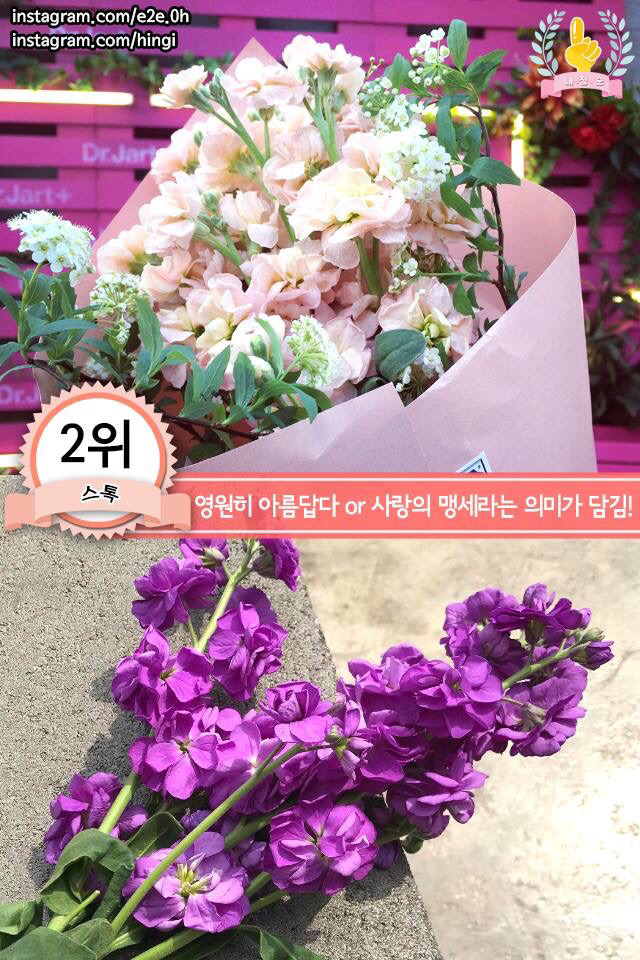 여자친구를 위한 봄 꽃다발 BEST | 인스티즈